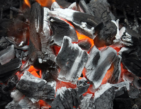 best natural charcoal in the USA